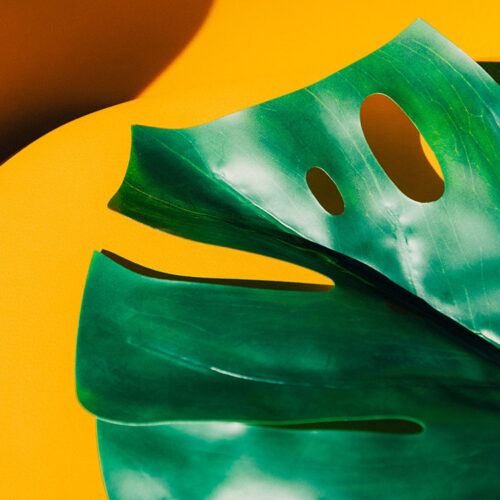 Big Portfolio.jpg777